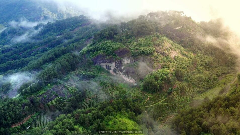wuyishan landscape tea fields panoramic aerial view