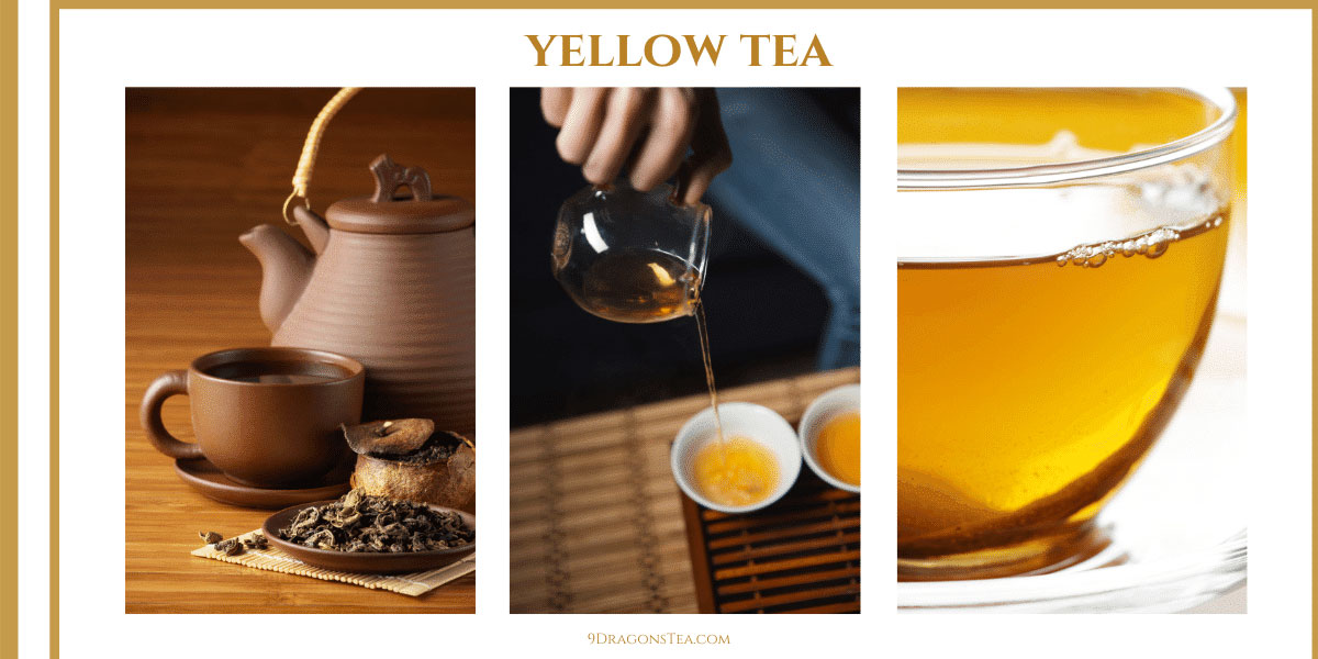 9 dragons tea-Yellow tea