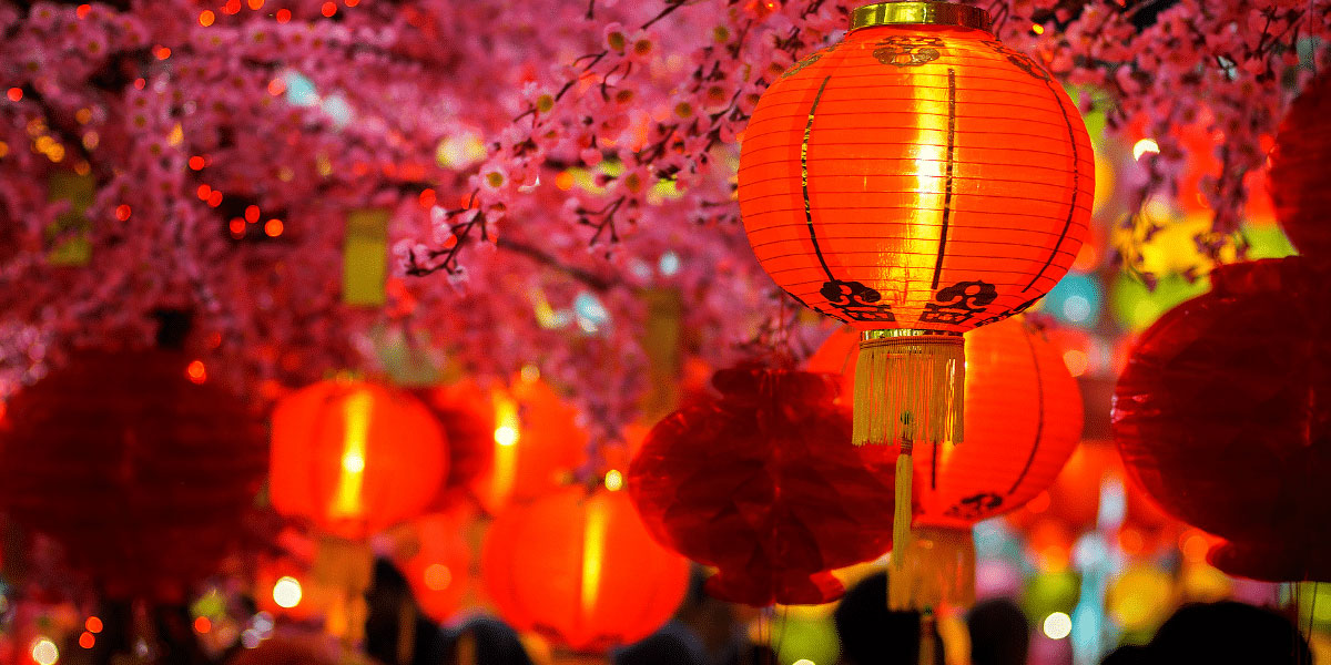 9 dragons tea-Chinese New Year-HK Night Market-Red Lanterns with flowers 9 dragons tea-Chinese New Year-HK Night Market-Red Lanterns with flowers