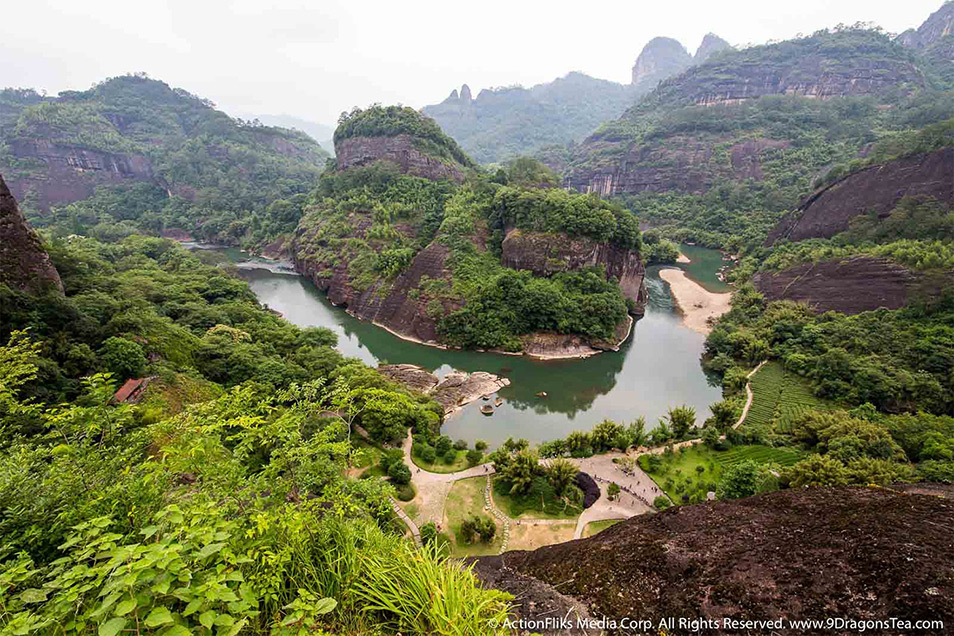 ActionFliks 9 Dragons Tea Wuyi Signature Landscape Mountain River Tea Fields Top View