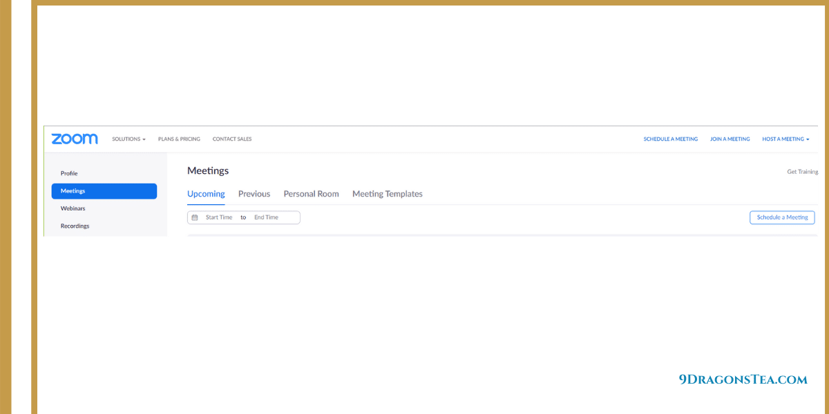 how to host a virtual tea party-Zoom meeting set up dashboard