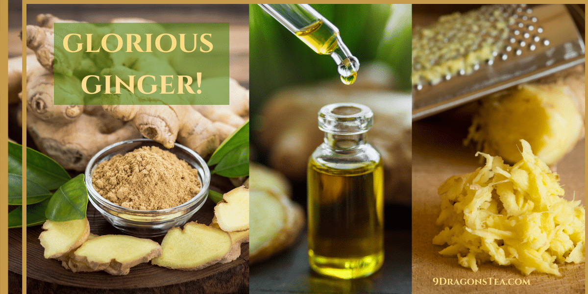 ginger in many forms-grated ginger-ginger powder extract-ginger oil