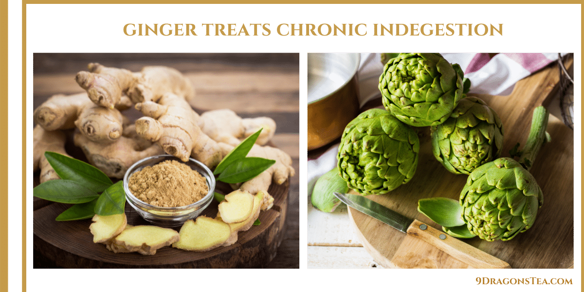 Ginger Tea treats Chronic indigestion-artichoke-ginger