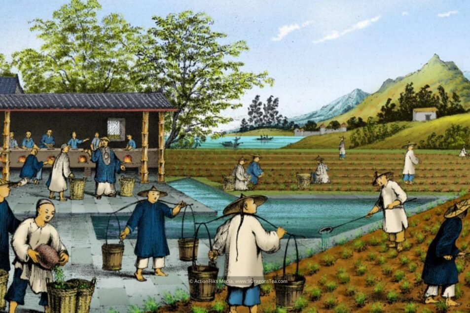 featured image historical painting traditional chinese tea making tea trade tea cultivation